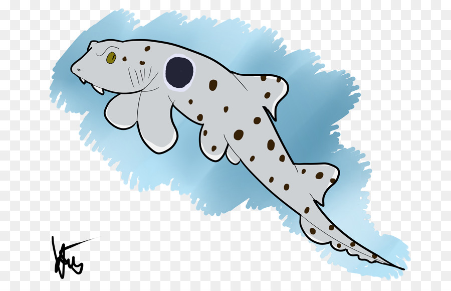 Epaulette shark Zeichnung Bull shark - Haie