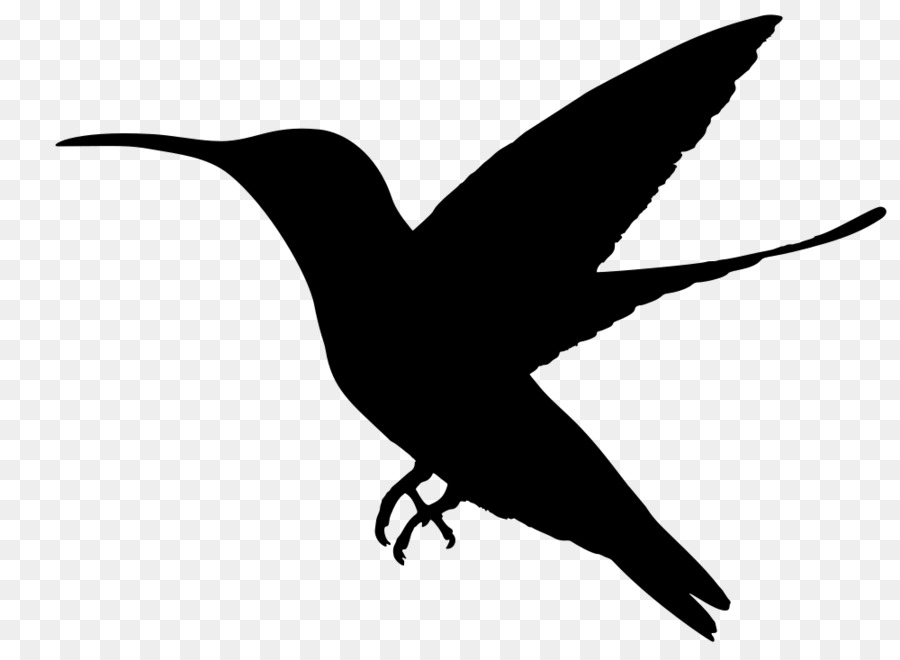 Clip art di Hummingbird - uccello