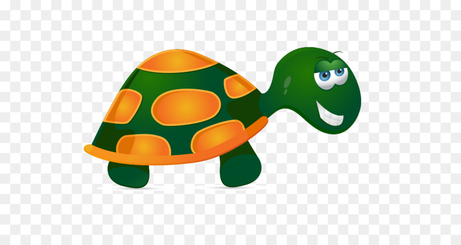 Schildkröte Turtle Reptil - Schildkröte