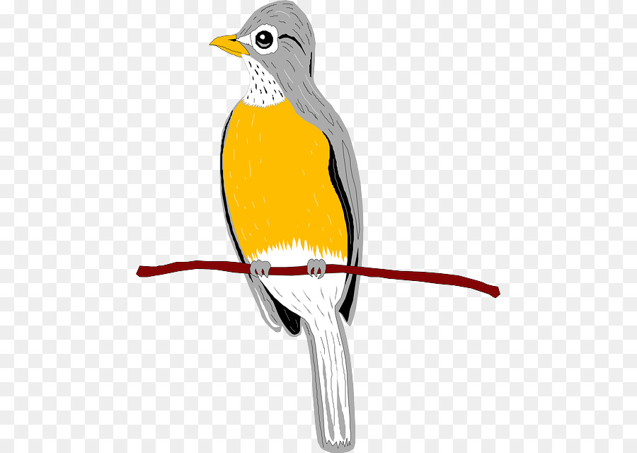 Schnabel Vogel europäischen robin Wing Clip art - Vogel