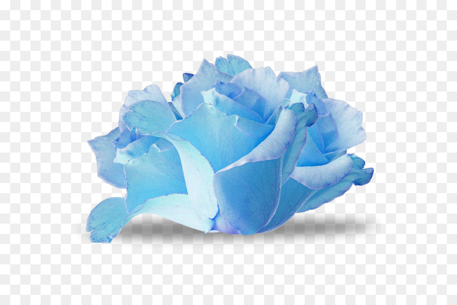 Rosa blu di Fiori di Carta - fiore
