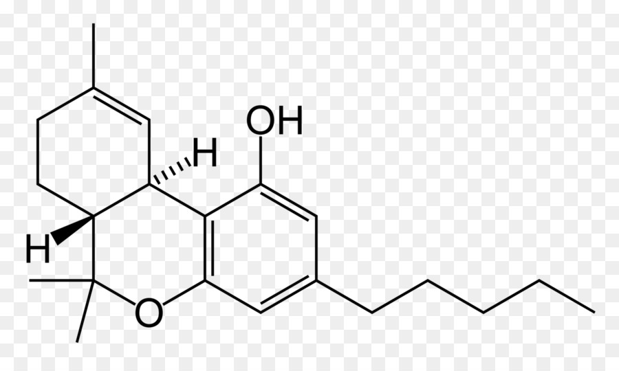 Tetrahydrocannabinol Cannabinoide Cannabidiol Cannabis Psychoaktive Droge - Cannabis