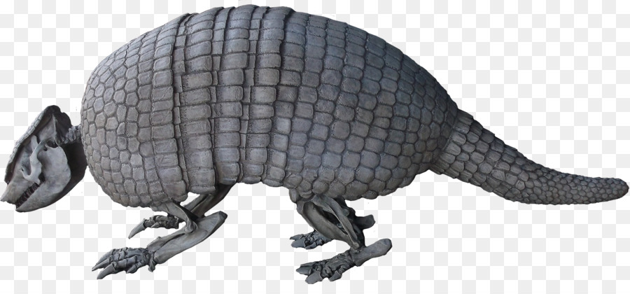 Holmesina Glyptodont Pampatheriidae Megalonyx riesenfaultiers - andere
