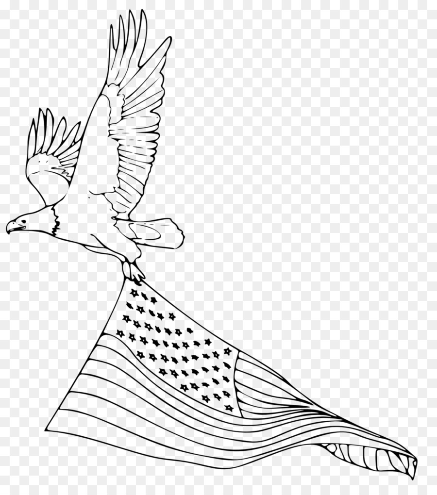 Đại Bàng đầu hói Chim Cờ của Hoa Kỳ Vẽ - con chim