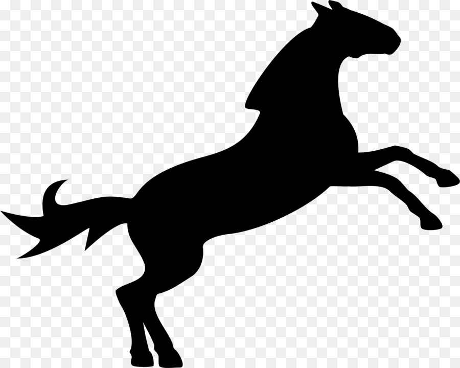 Con ngựa cưỡi Ngựa! nhảy Clip nghệ thuật - Con ngựa