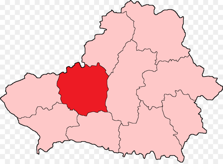 Baranavichy Voblast Pinsk Regione Repubblica Socialista Sovietica Della Bielorussia - altri