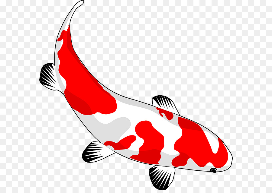 Koi pesce rosso Disegno Clip art - pesce
