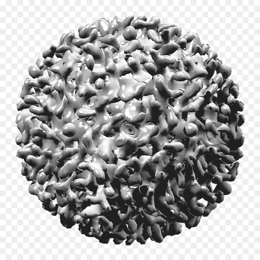 Hepatitis B Virus Tree