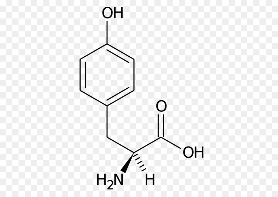 Proteina tirosina fosfatasi Molecola Numero di Registro CAS Protocatechuic acido composto Chimico - altri