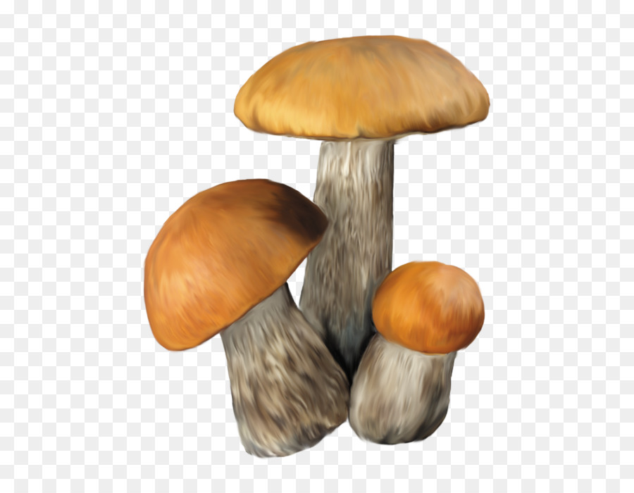 Aspen fungo Commestibile, fungo Clip art - funghi