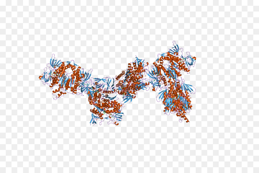 Dihydrolipoamide Enzima deidrogenasi Gene - altri