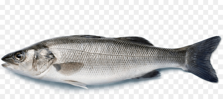 Châu âu bass biển Nhật bản bass Cá vược - cá