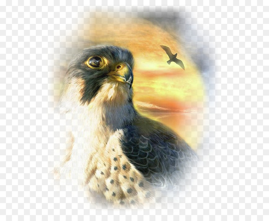 Bức Tranh Falcon Nghệ Thuật Chim Vải - bức tranh