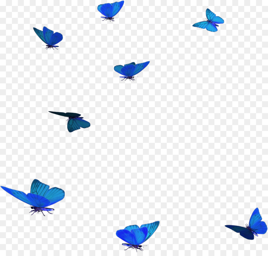 Farfalla Blu Farfalle e Insetti Clip art - farfalla