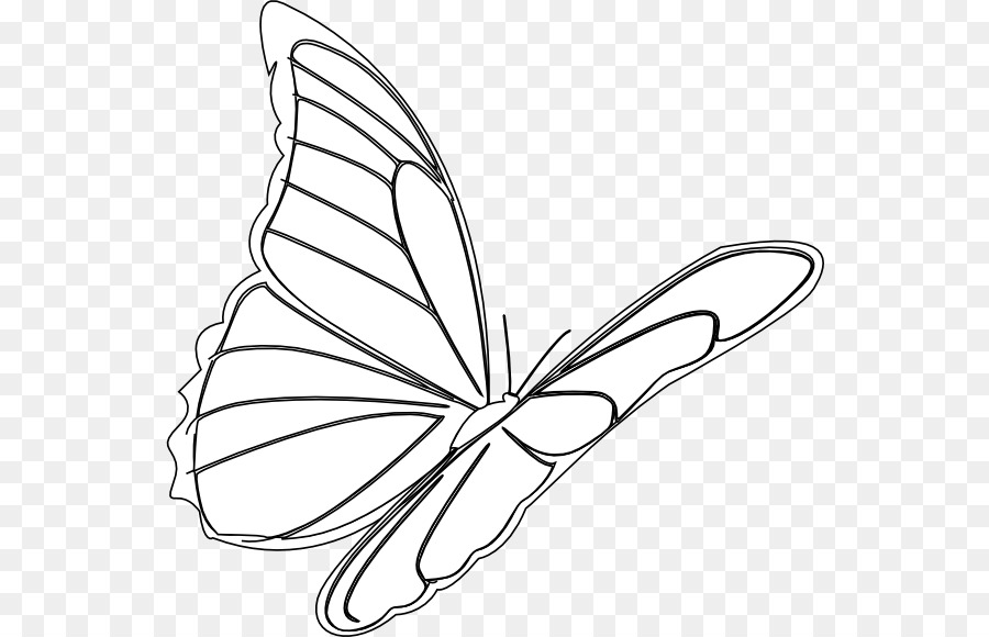 Monarch-Schmetterling Zeichnung Flug clipart - Schmetterling