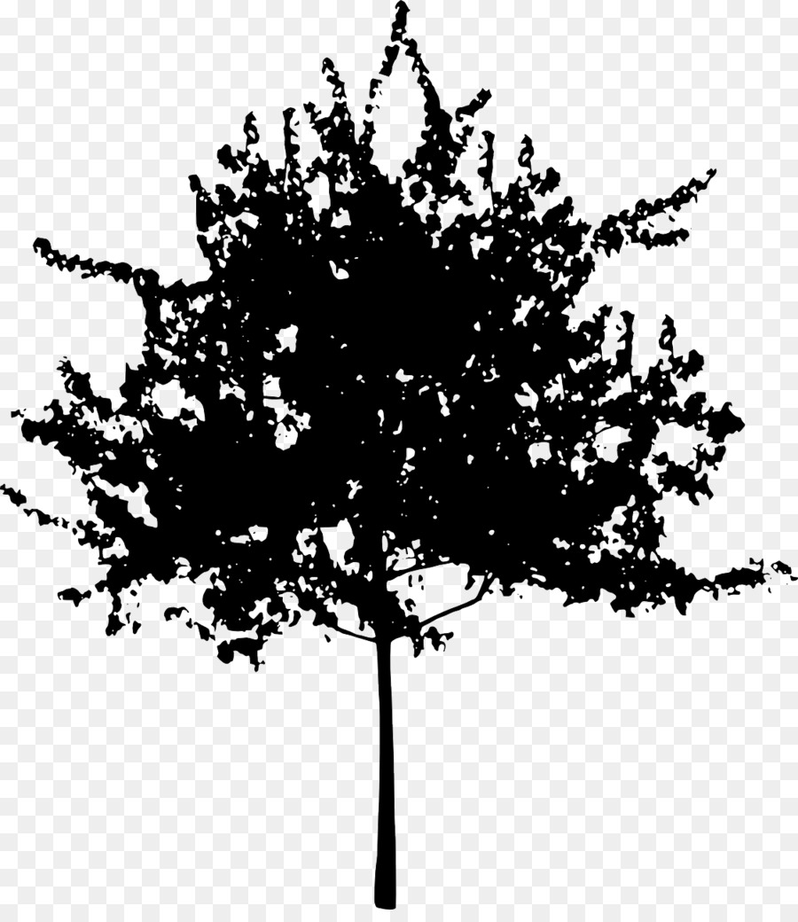 Ramo di albero Tronco Clip art - Vettoriale di foglie di acero