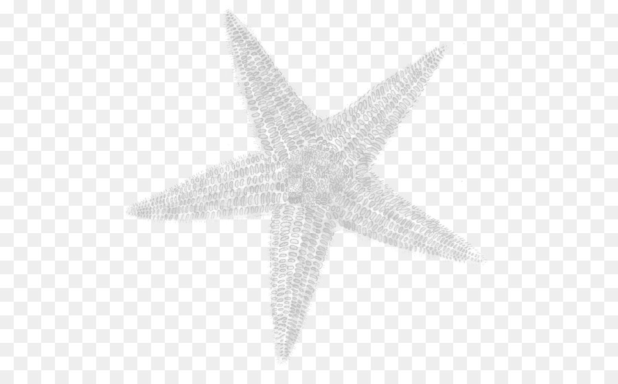Star Lanciatore: Un Pastore Manuale Stella di mare Stella Lanciatore Brossura - stella marina