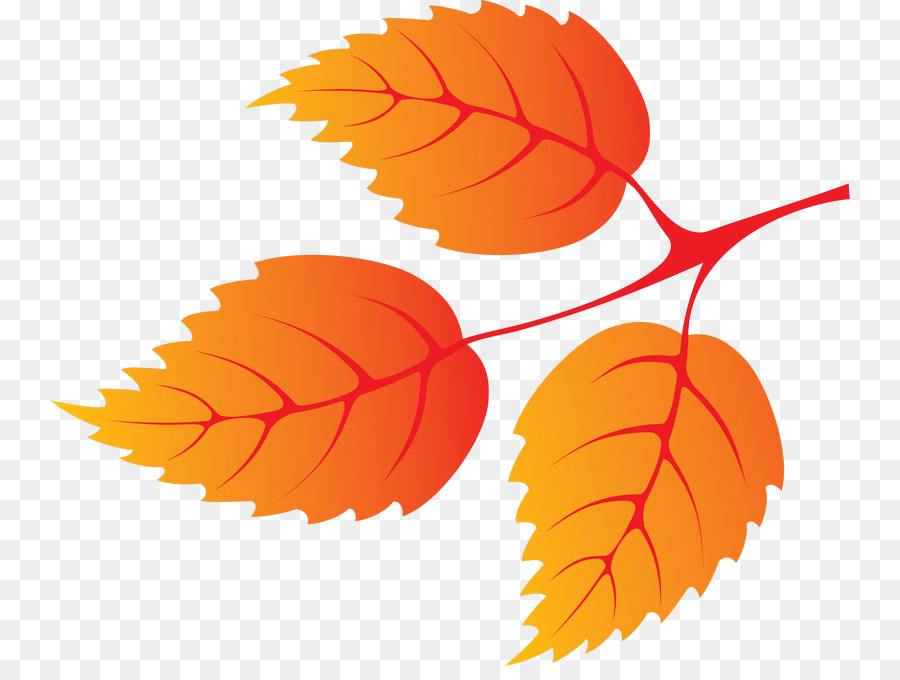Foglia d'autunno colore del Petalo - foglia