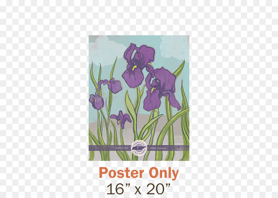 Tennessee Iris Tulip Poster - succo di manifesti