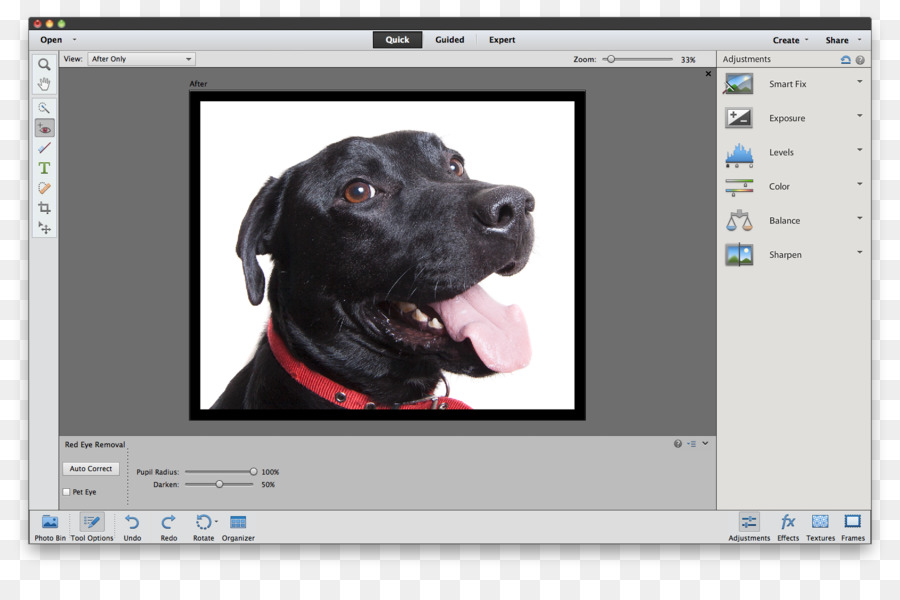 Tutorial di Adobe Photoshop Elements - altri