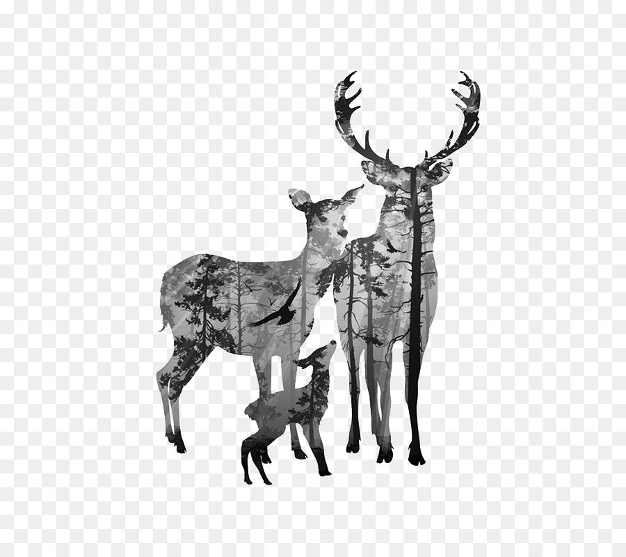 Cervi Tela Antler Clip art - acquerello elk