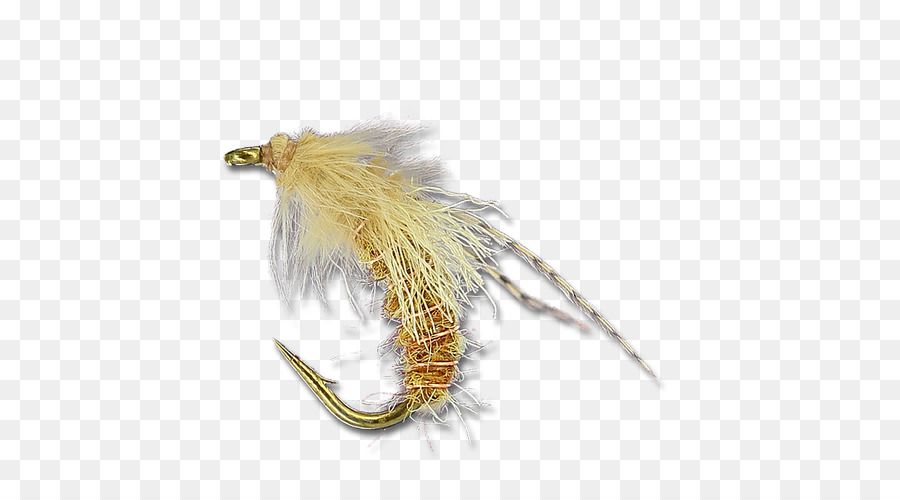 Caddisfly Feather