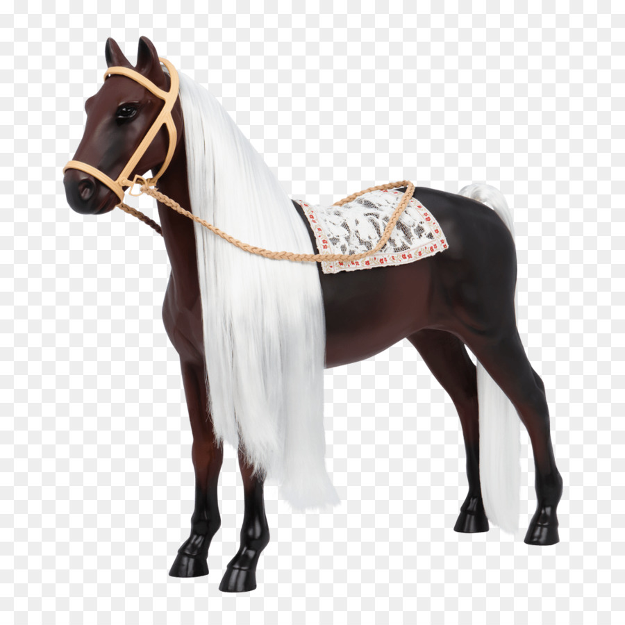 Andaluso cavallo Lusitano American Paint Horse Rocky Mountain Horse Puledri - altri