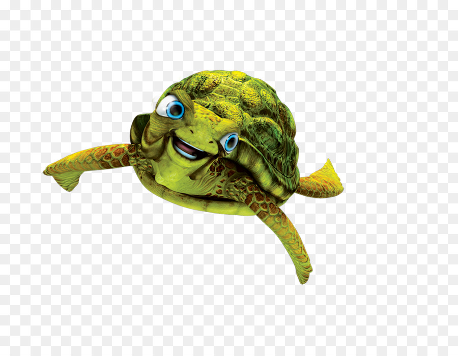 Box turtle Nerissa Sea turtle Schildkröte - Unterwasser Riff