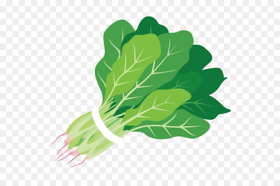 Rau cải thức Ăn món Salad trái cây Clip nghệ thuật - rau xà lách