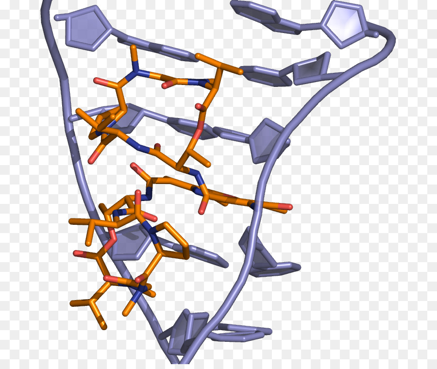 Dactinomicina dominio DNA-binding di Intercalazione di Doxorubicina - altri