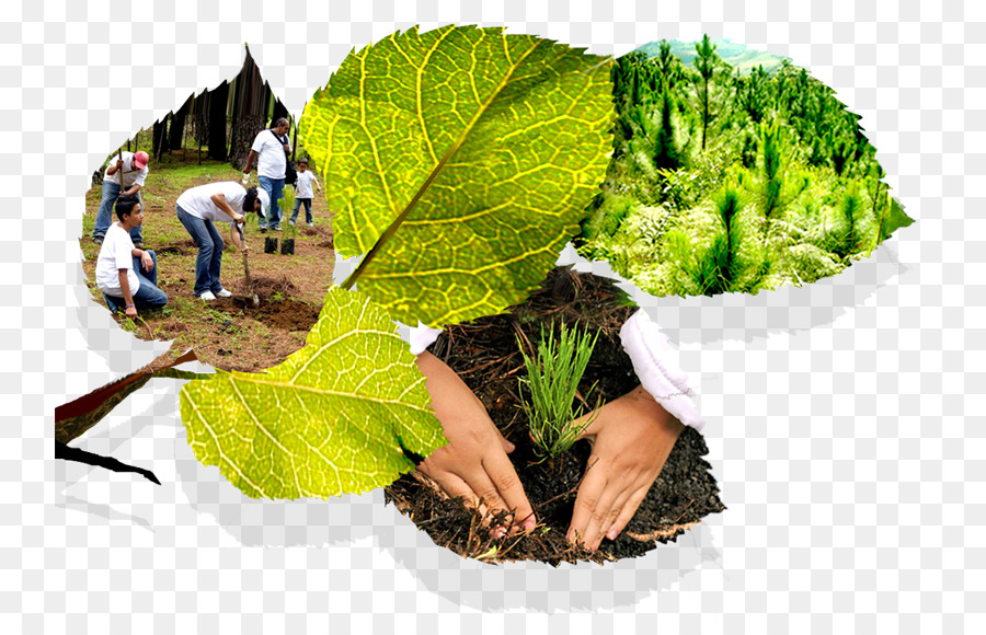 Erhaltung Bewegung, Natürliche Umwelt, Umweltrecht Erderwärmung - Natürlichen Umgebung