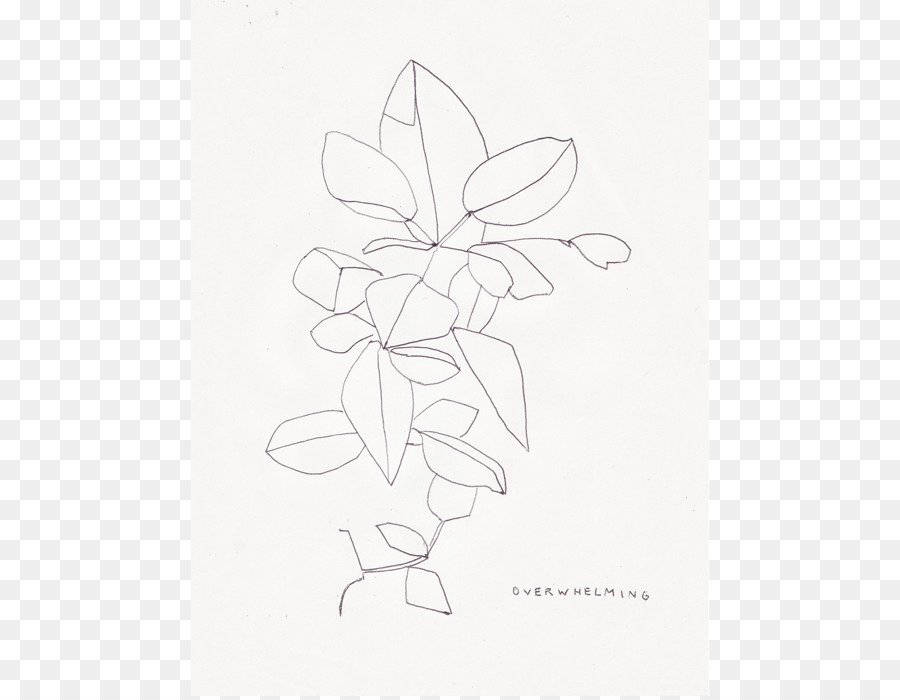 Blütenblatt Visual arts Kunst-Skizze - Zeichnung Zutaten