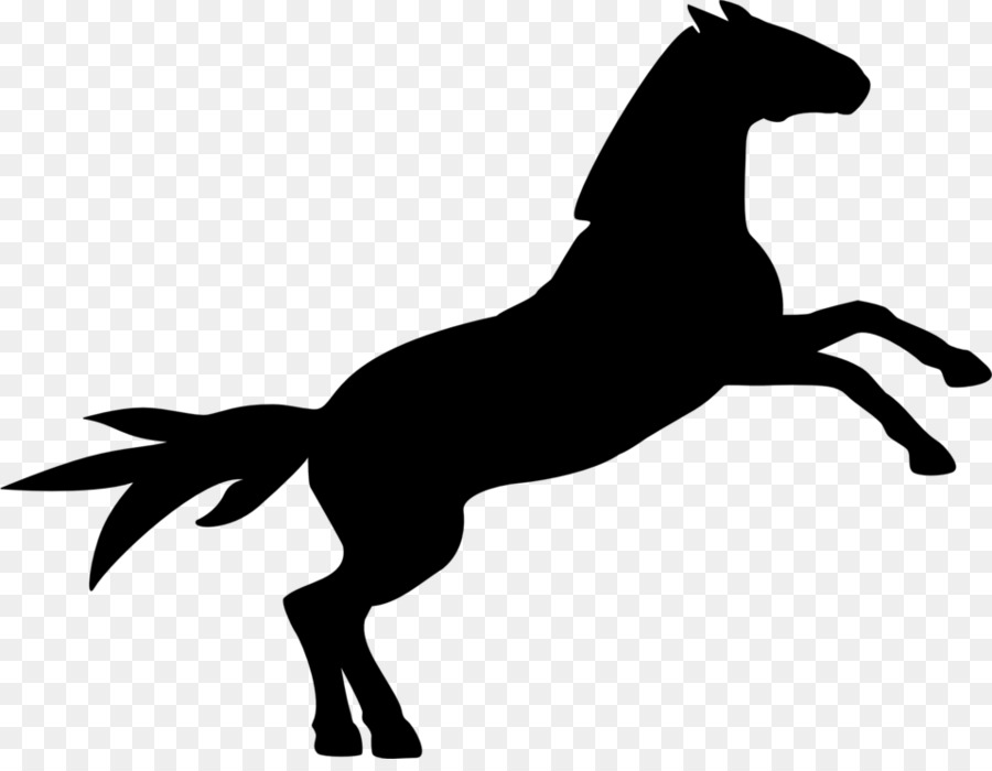 Cavallo Equestre di salto ostacoli Clip art - cavallo