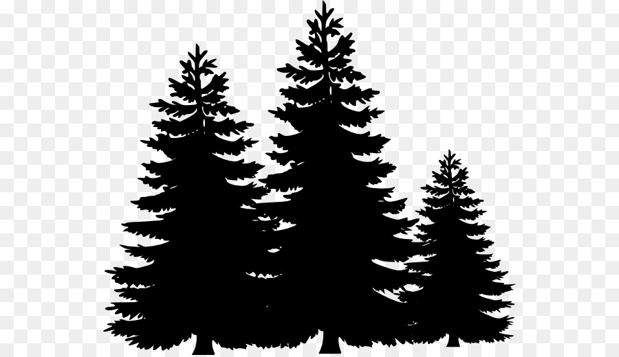 Fichte-Tanne Weihnachtsbaum Weihnachten ornament Evergreen - Tannen Bäume