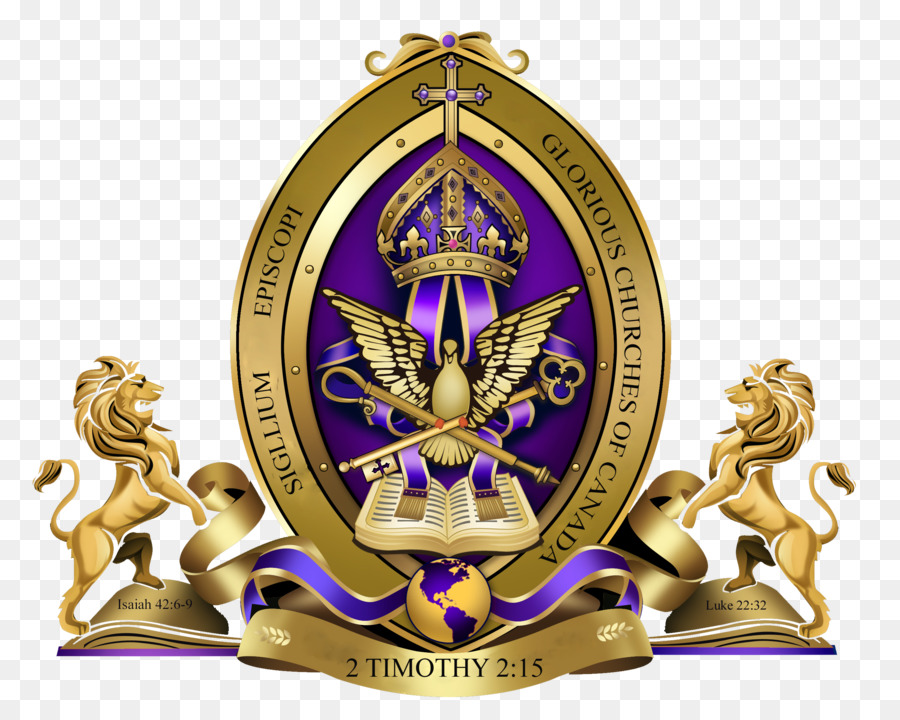 Bishop Tông đồ thiết kế đồ Họa - vinh quang