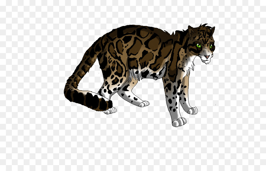 Schnurrhaare Ozelot Tiger Leopard Katze - Nebelparder
