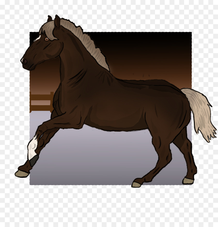 Mähne Mustang Hengst Pony Stute - Galopp