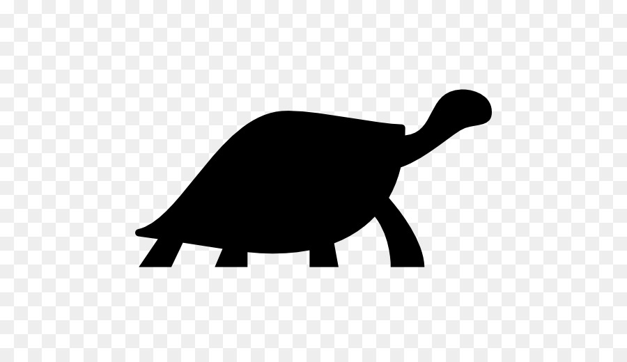 Rùa Bò Sát Cá Sấu - chậm