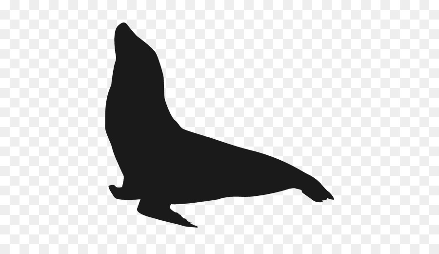 Biển California sư tử Bóng - bản chất loài động vật biển seal