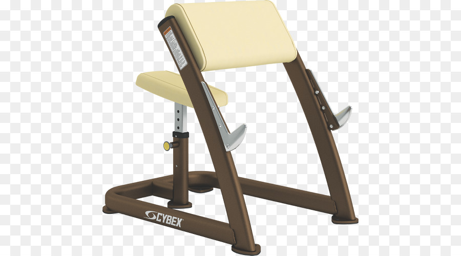 Băng ghế Cybex Quốc tế Tập thể dục thiết bị đào tạo Trọng lượng Bắp tay curl - sức mạnh