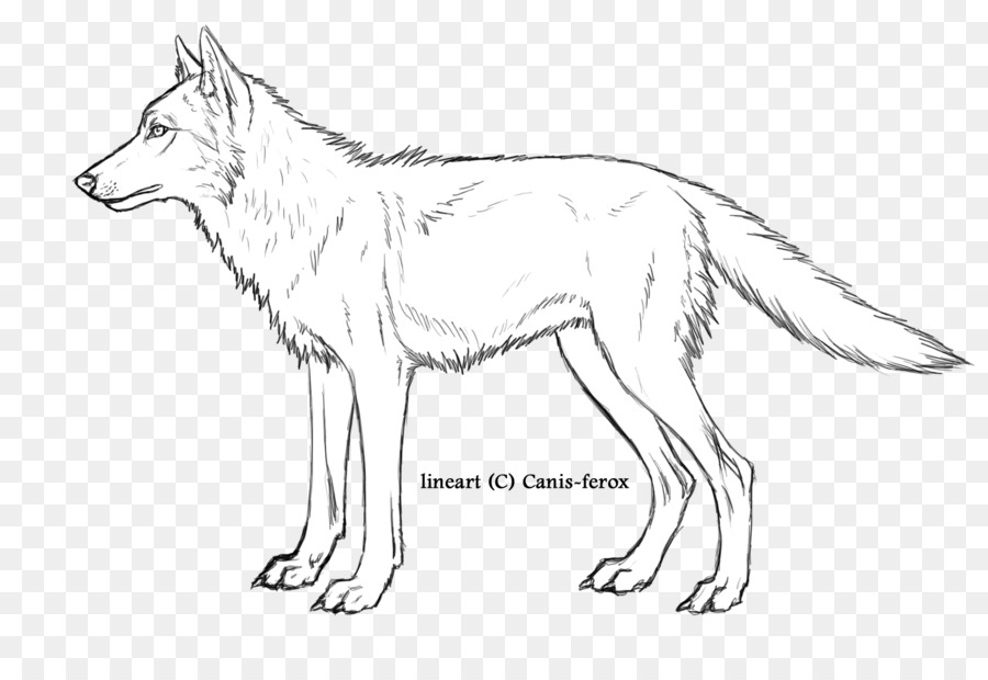 Gray wolf, Red fox Line art Fauna Tierwelt - Fuchs
