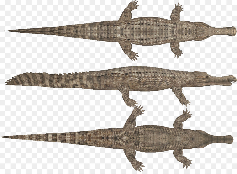 NiL-Krokodil Sarcosuchus Ornithocheirus Pteranodon - Krokodil