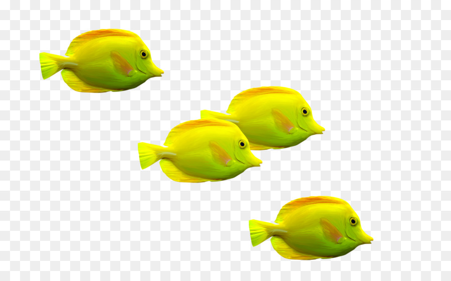 Goldfish Download Clip Art - Fisch