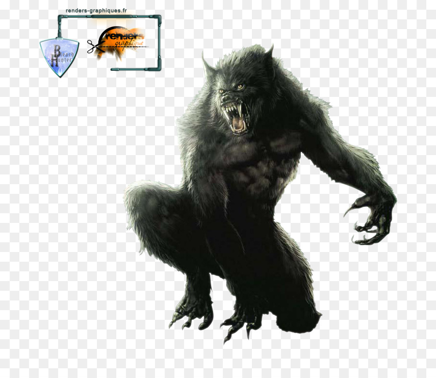 Werwolf wolf Zeichnung Clip art - Werwolf
