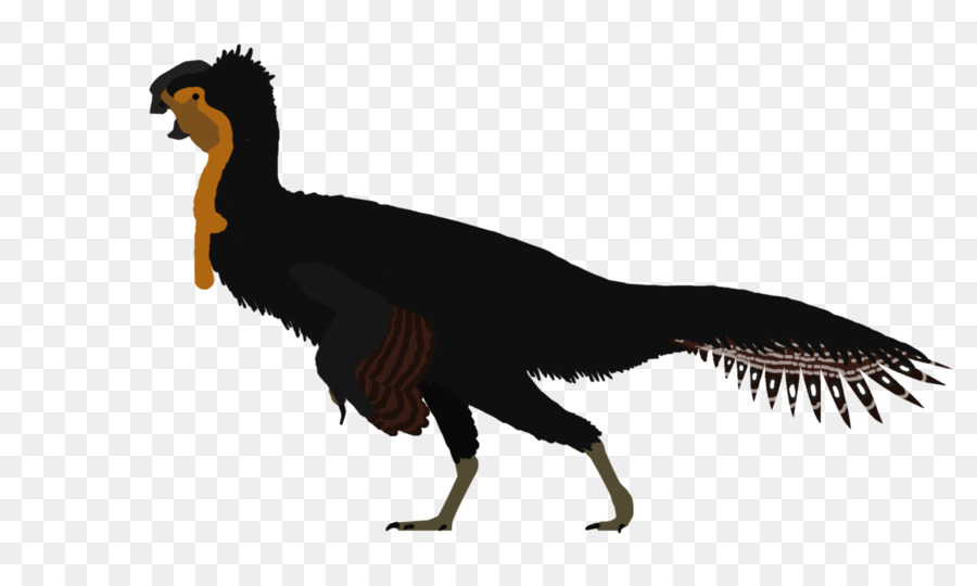 Huanansaurus DeviantArt Tyrannotitan Disegno - Barosauro