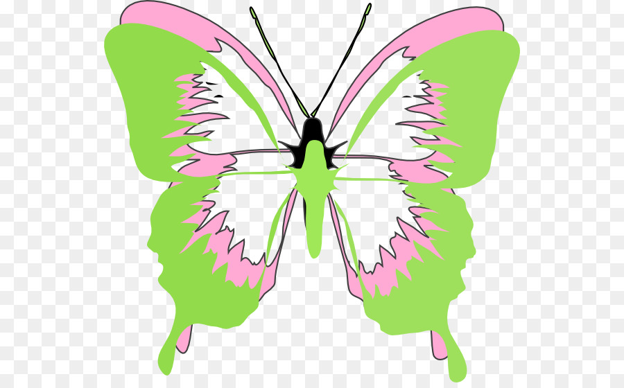Farfalla monarca Verde Clip art - verde farfalla