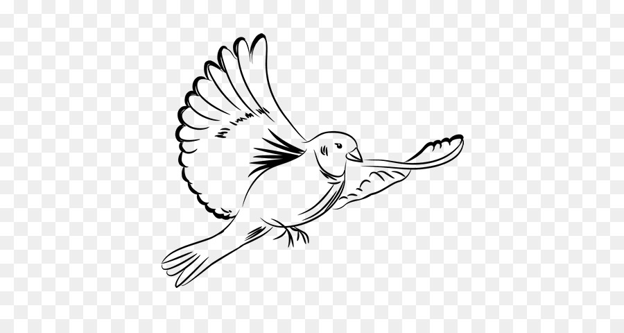 Vẽ Đá Lông chim bồ câu Blanca Bồ câu như là biểu tượng - những người khác