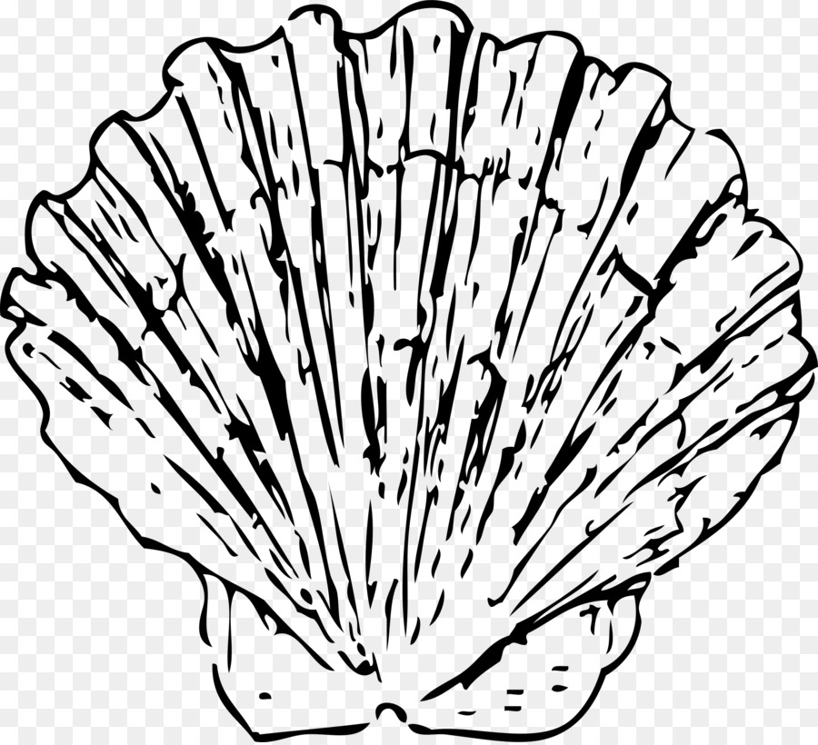 Seashell-Muschel-Muschel-clipart - rib clipart