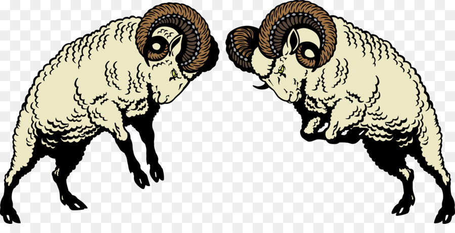 Schaf-Ram-Kampf Clip-art - das Jahr des Schafes