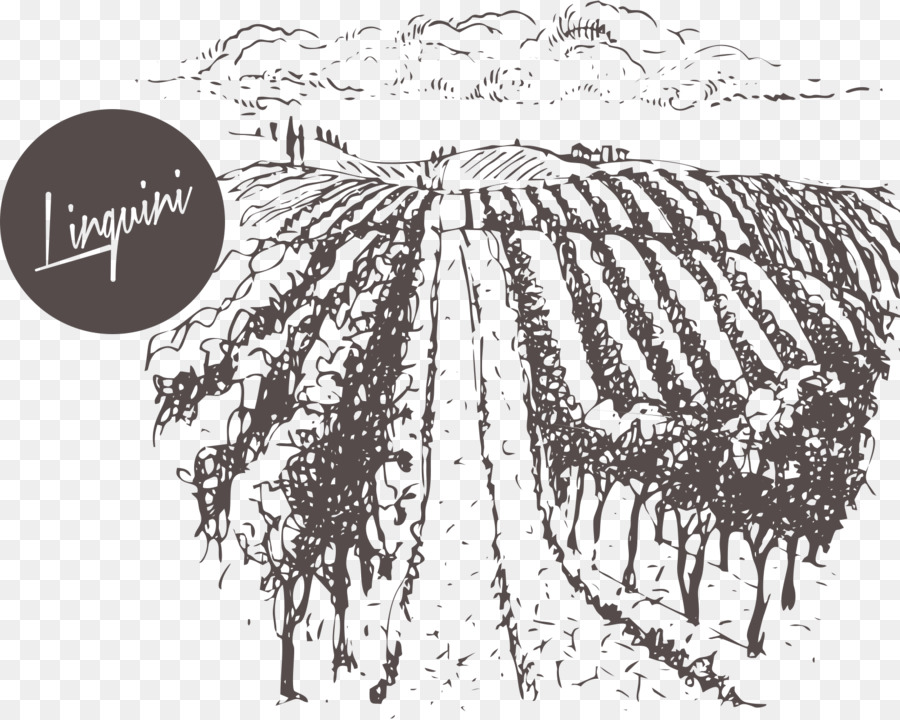 Burgund Wein, Burgund und Wieder Zurück: Eine Geschichte von Wein, Frankreich, und der Bruderschaft Riesling Weingut - Wein
